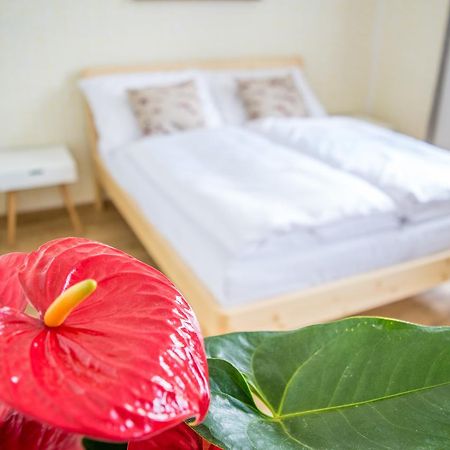 U Cmelaku Hotel Červená Voda Buitenkant foto